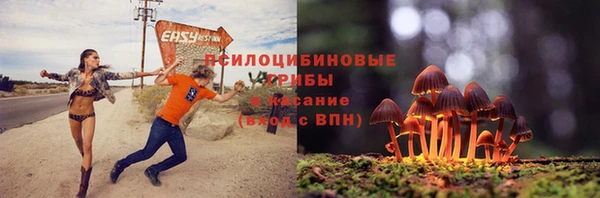 mix Козловка