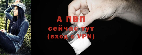 ALPHA PVP Козельск