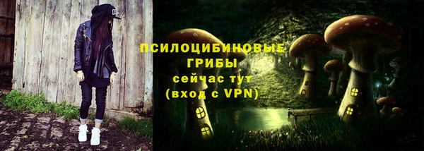 mix Козловка