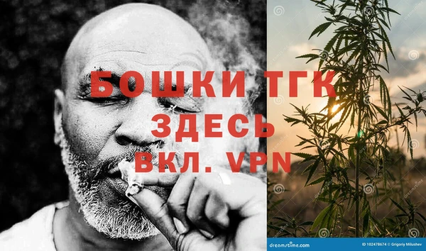 ALPHA PVP Козельск