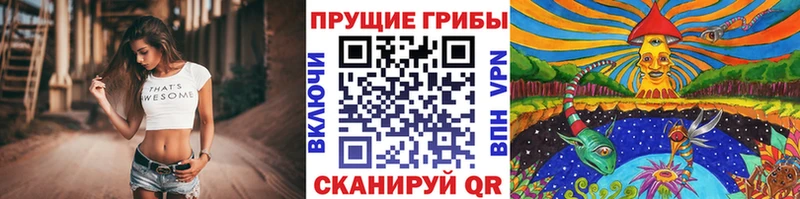 Псилоцибиновые грибы Psilocybine cubensis mega Сердобск